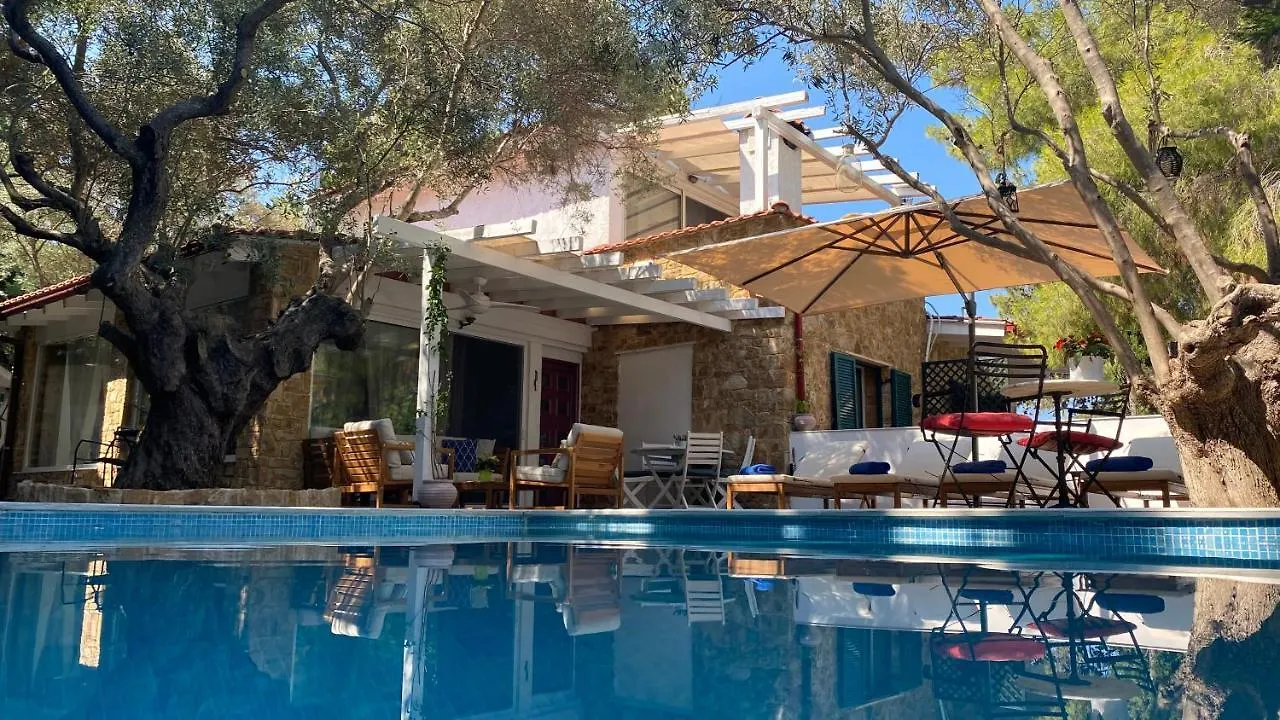 Villa Eco Electra Nikiti  Grecia