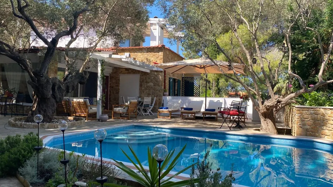 Villa Eco Electra Nikiti