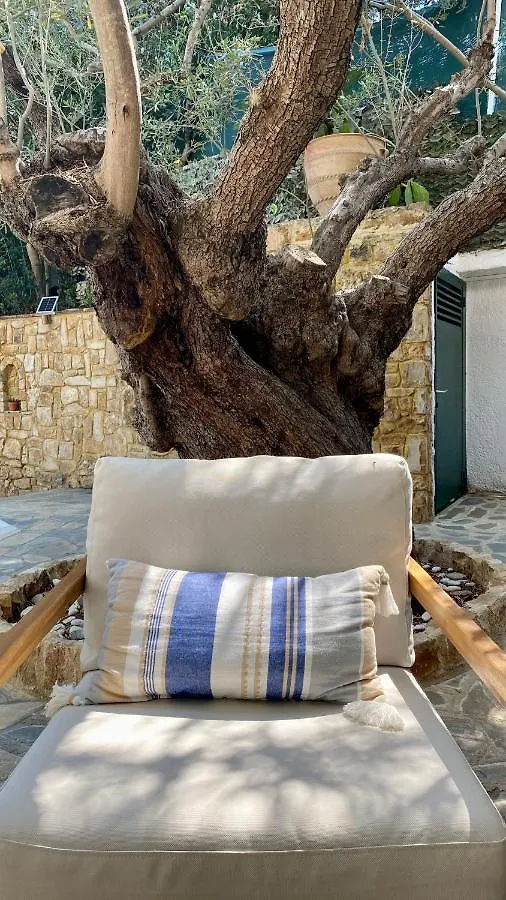 Villa Eco Electra Nikiti  Grecia