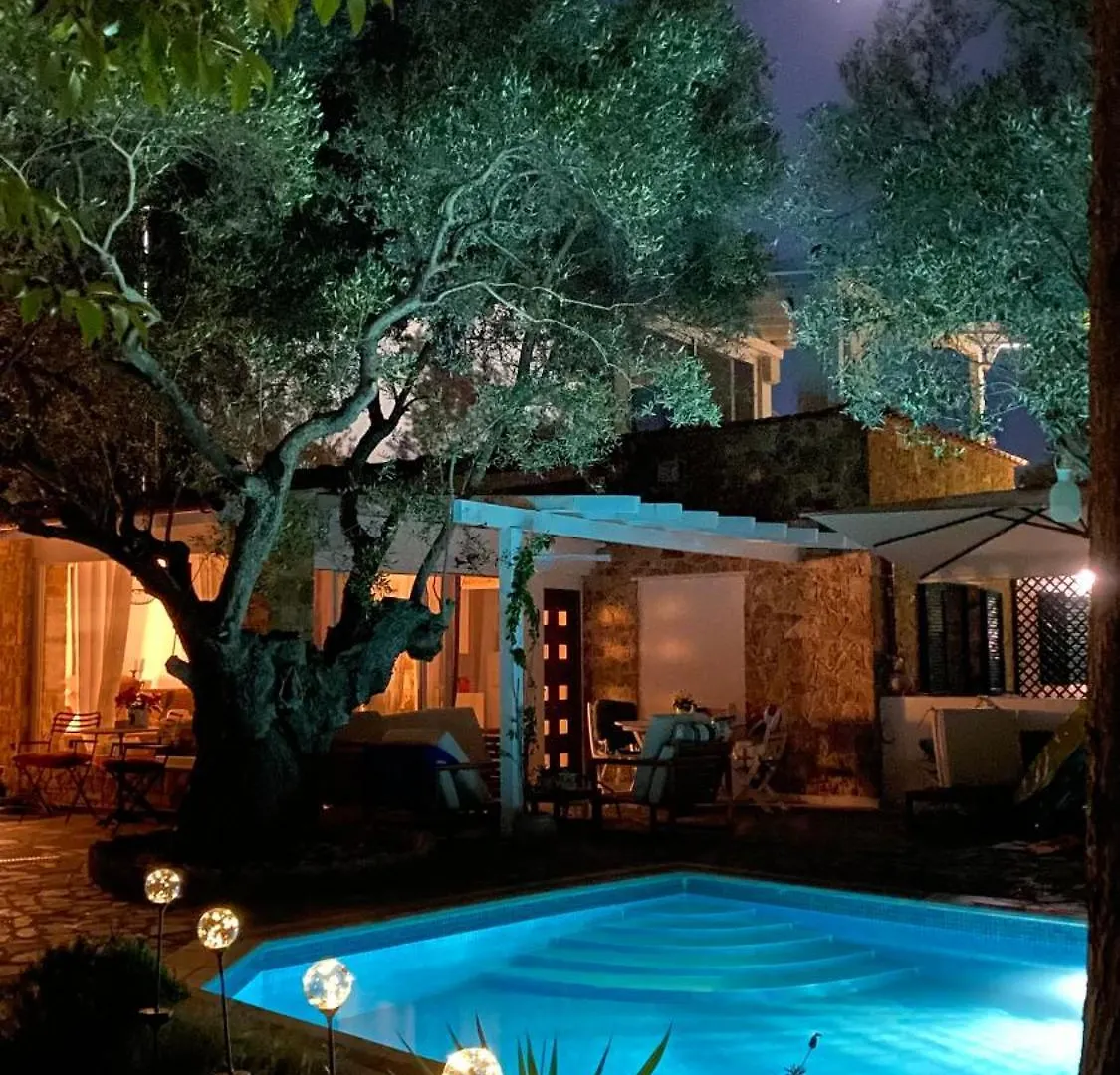 Villa Eco Electra Nikiti