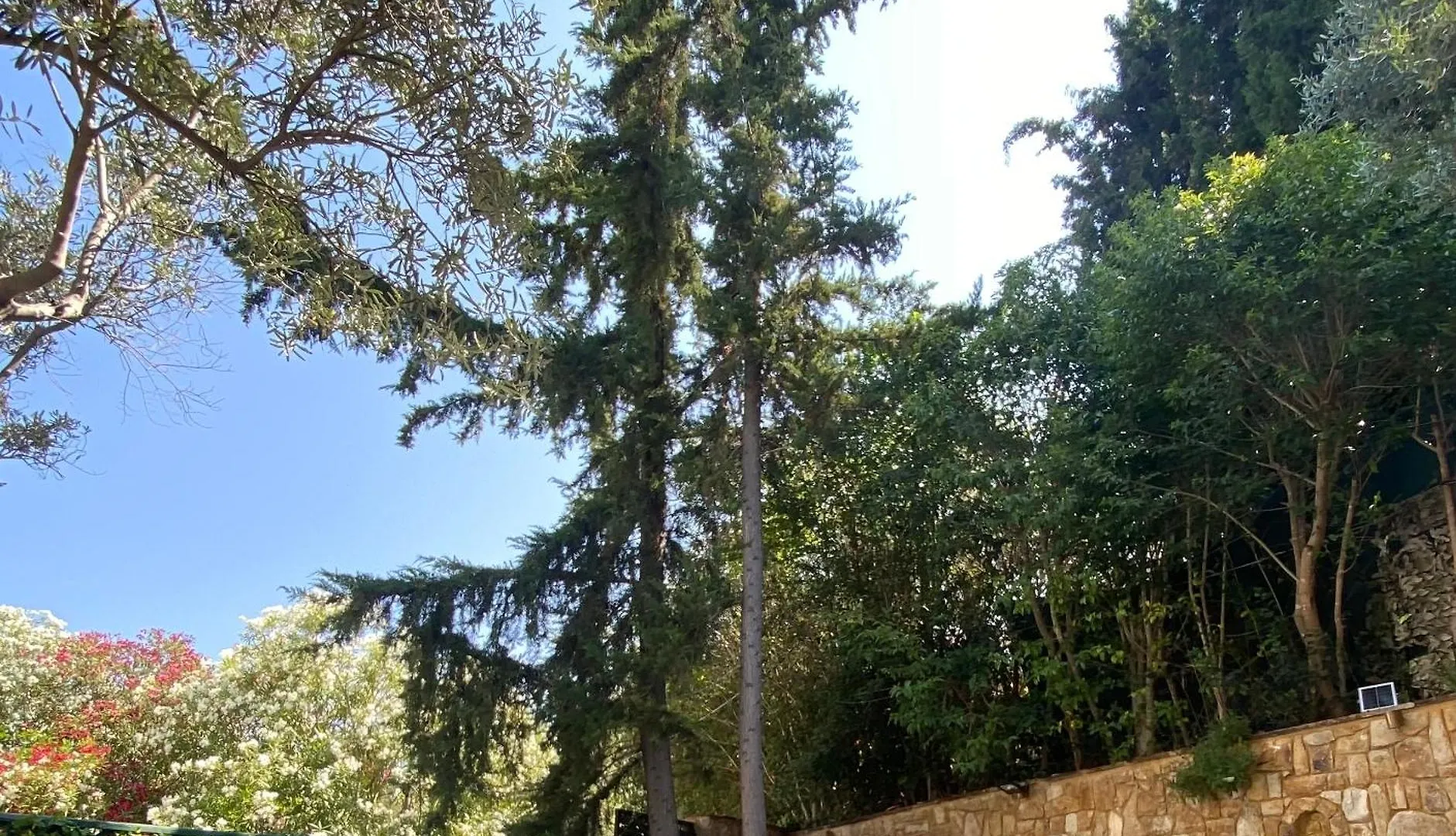 Villa Eco Electra Nikiti