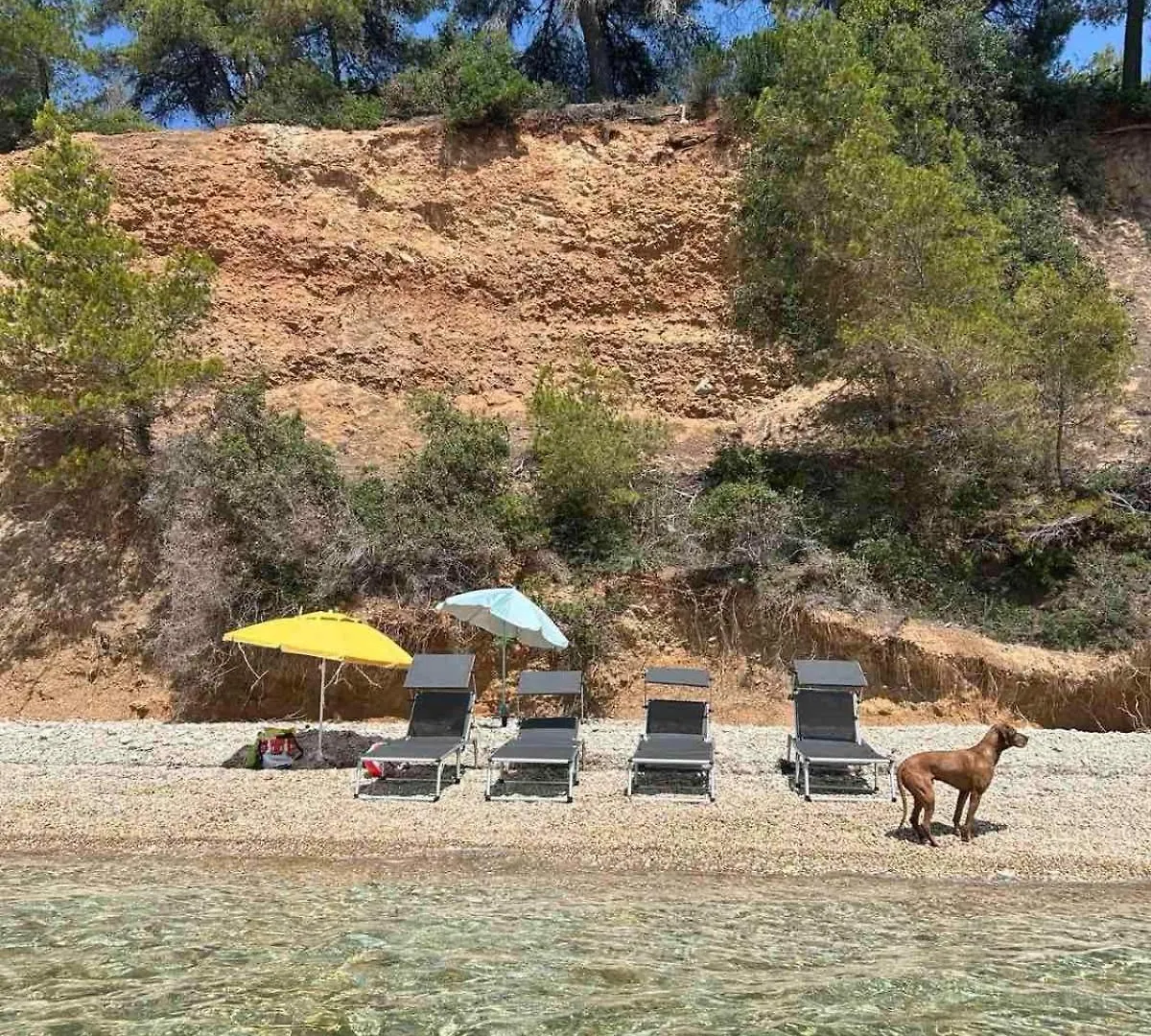 Villa Eco Electra Nikiti  Grecia